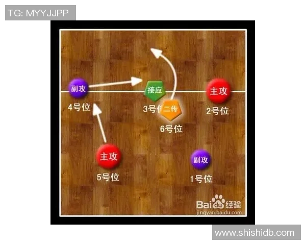 武汉排球队与北京排球队对决后的战术分析与节奏探讨