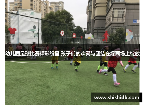 幼儿园足球比赛精彩纷呈 孩子们的欢笑与团结在绿茵场上绽放